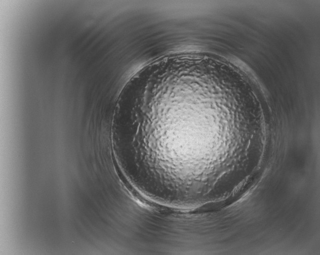 X0000059851337200510281841