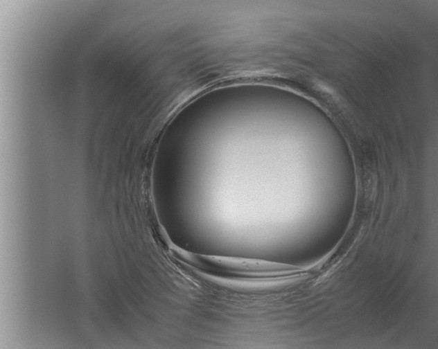 X0000059851361200510281840