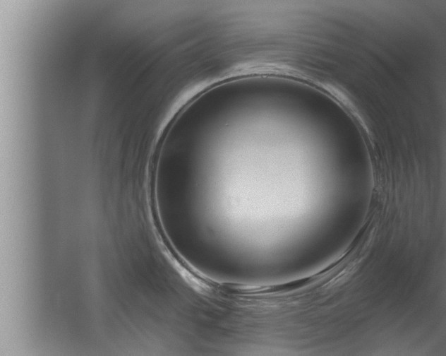 X0000059851438200510281840