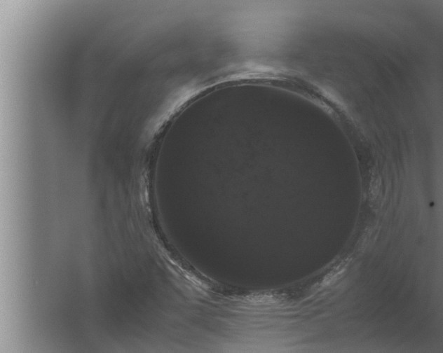 X0000059851455200510281838