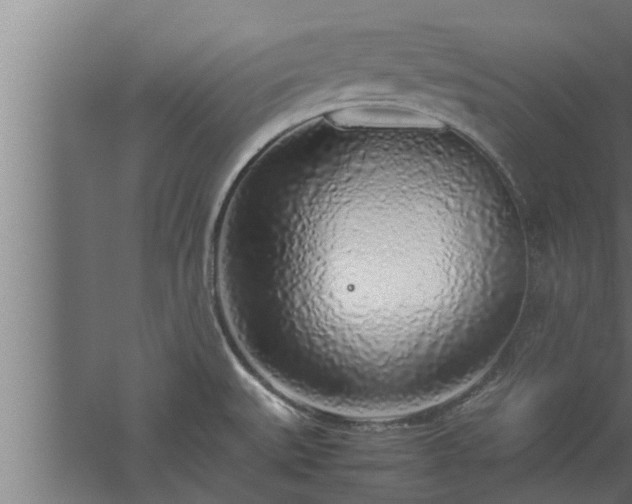 X0000059851527200510281838