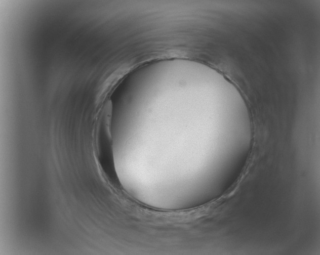 X0000059850001200511041851