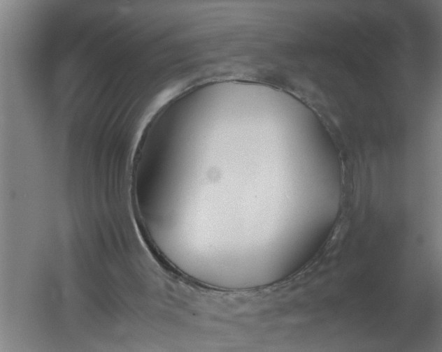 X0000059850003200511041851