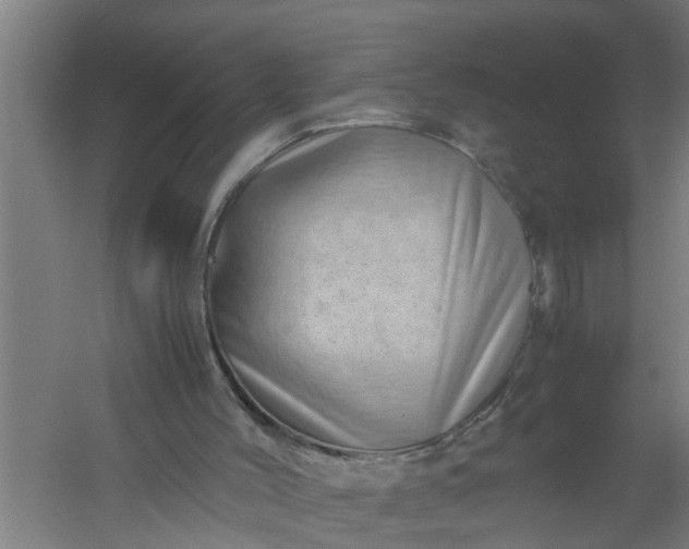 X0000059850004200511041851