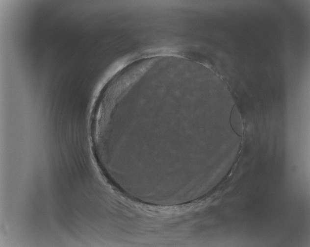 X0000059850006200511041851