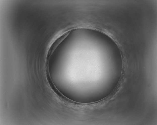 X0000059850007200511041851