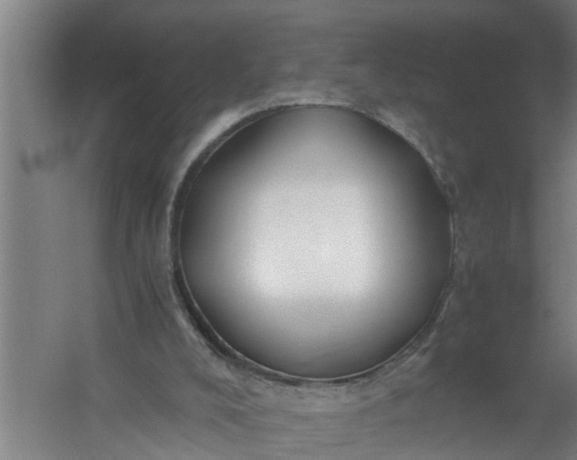 X0000059850008200511041851