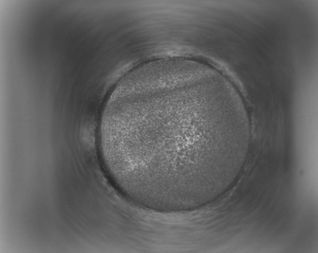 X0000059850010200511041851