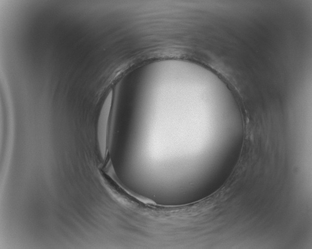 X0000059850013200511041851