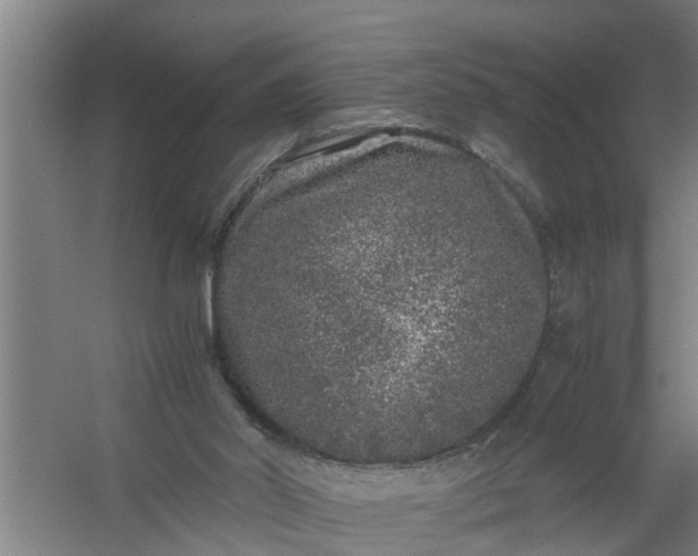 X0000059850014200511041851