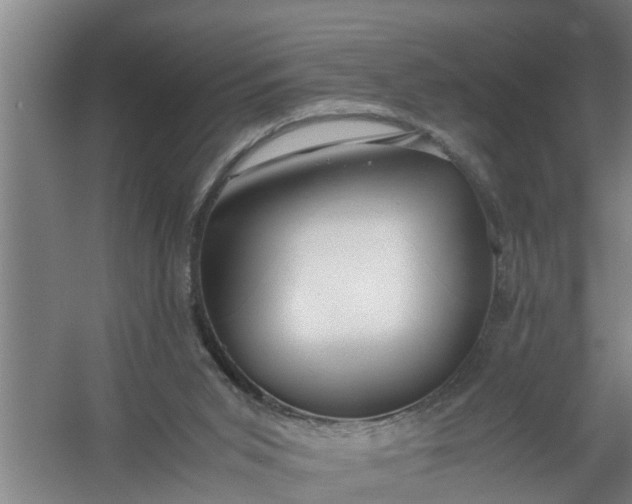 X0000059850015200511041851