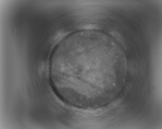 X0000059850016200511041851