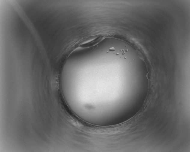 X0000059850017200511041851