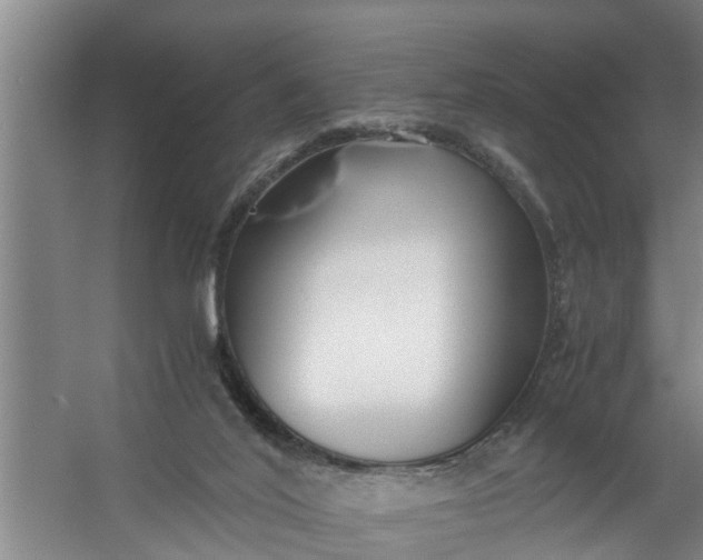 X0000059850020200511041851