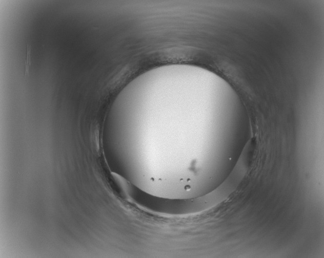 X0000059850021200511041851