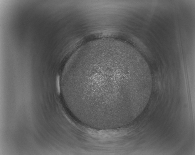 X0000059850022200511041851