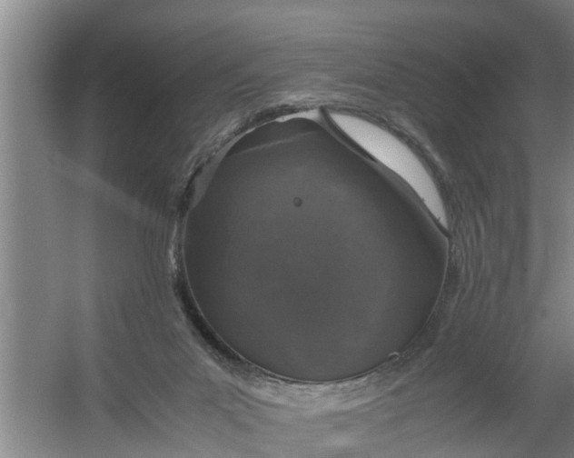 X0000059850023200511041851