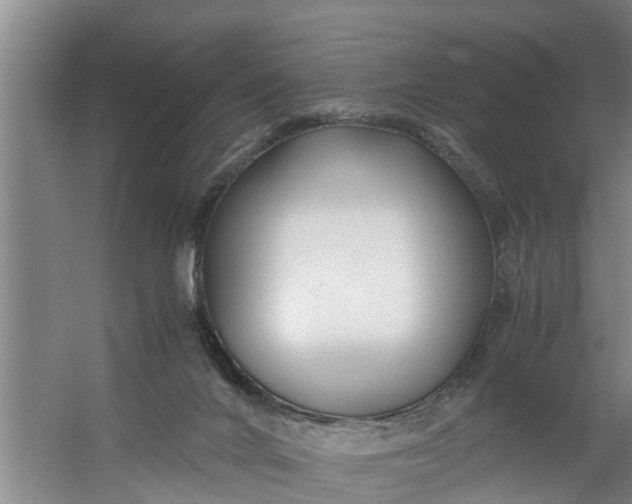 X0000059850024200511041851