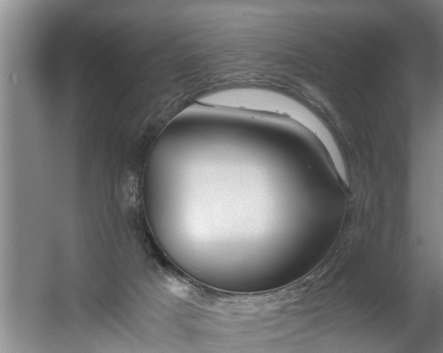 X0000059850025200511041851