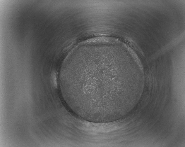 X0000059850026200511041851