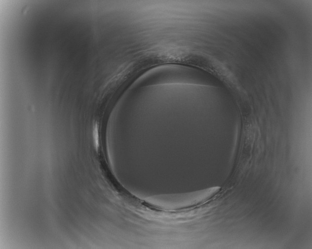 X0000059850027200511041851