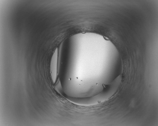 X0000059850029200511041851