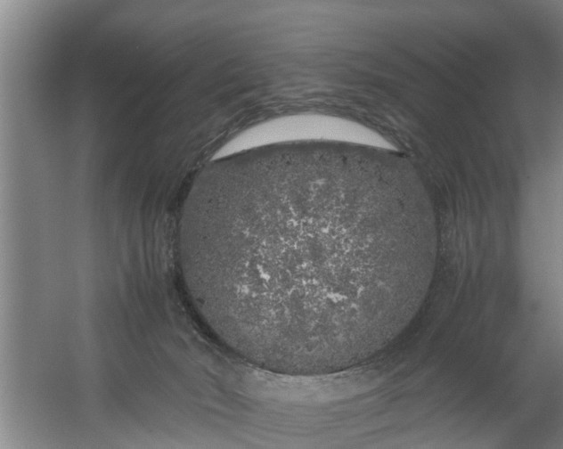 X0000059850030200511041851