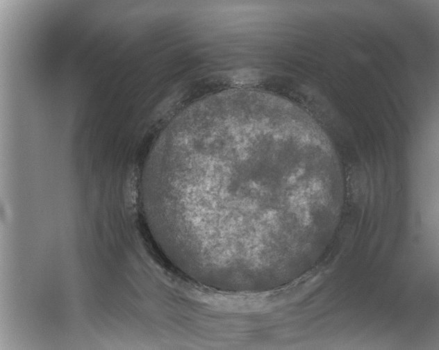 X0000059850032200511041851