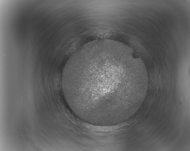 X0000059850034200511041851