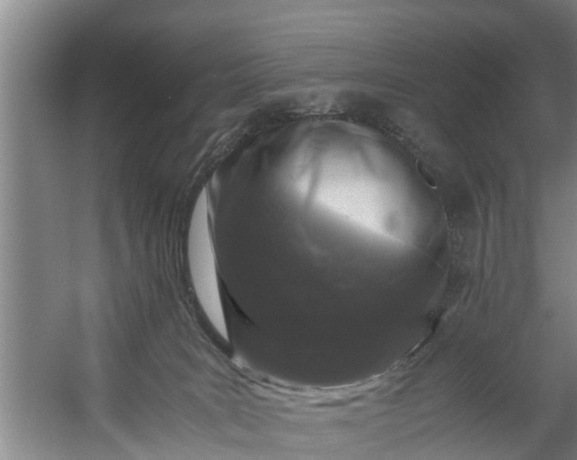 X0000059850035200511041851