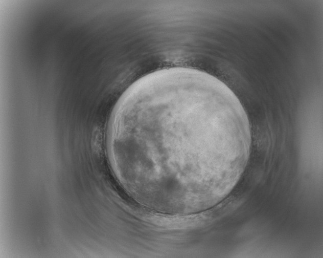 X0000059850036200511041851