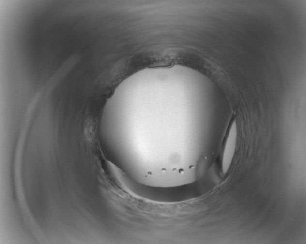 X0000059850037200511041851