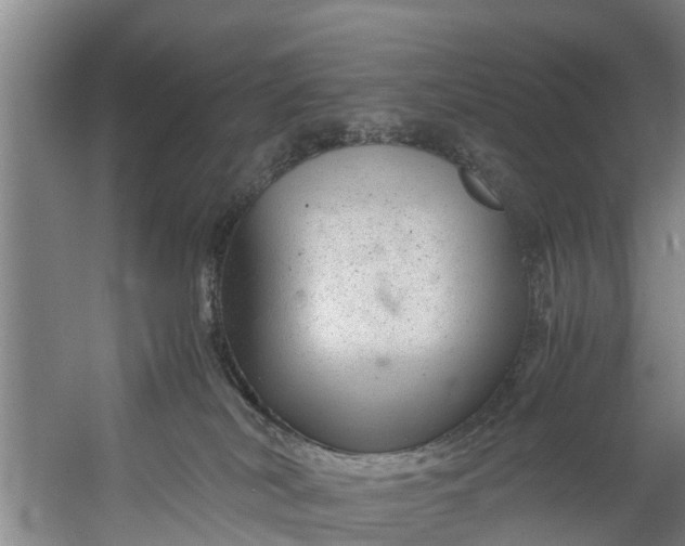 X0000059850038200511041851