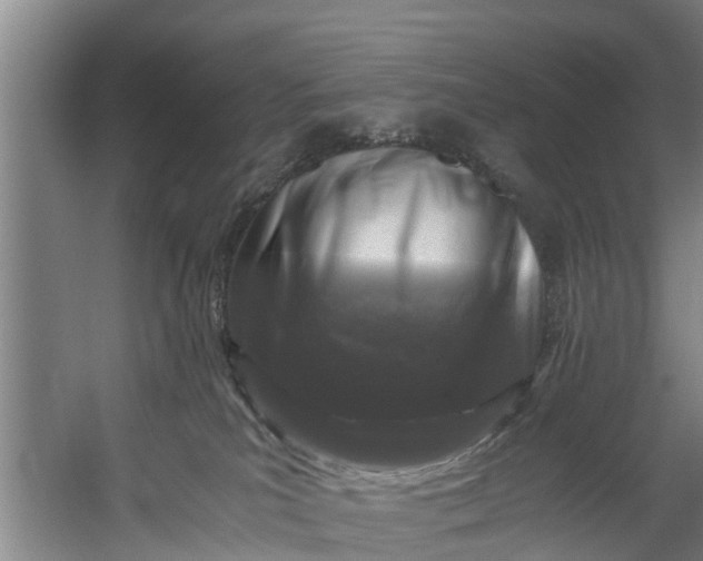 X0000059850039200511041851