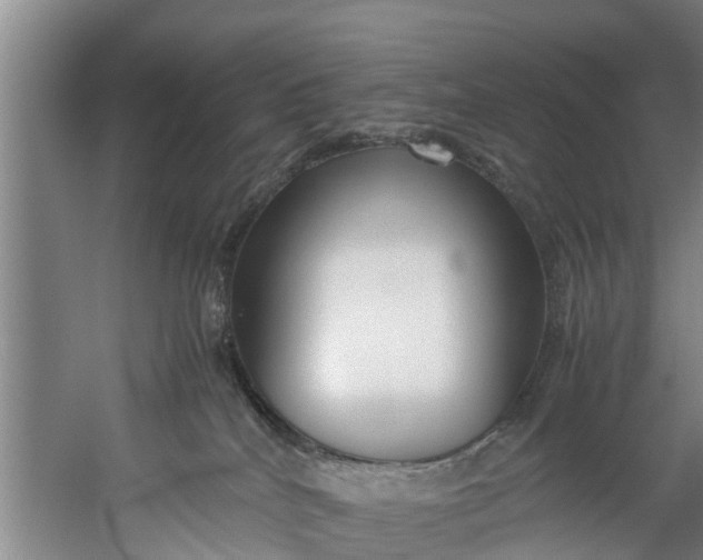 X0000059850040200511041851