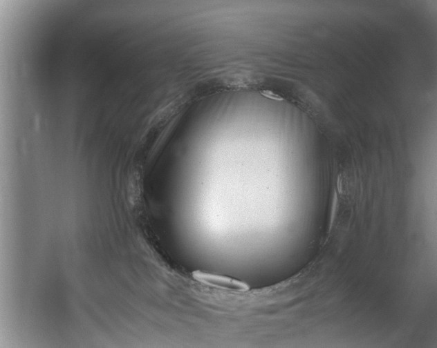 X0000059850043200511041851