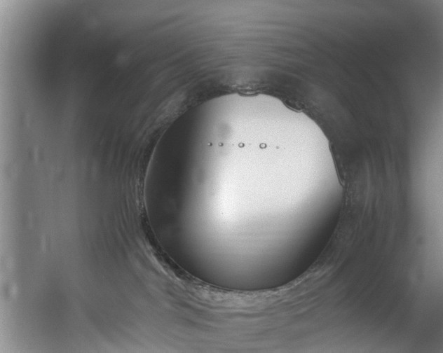 X0000059850044200511041851