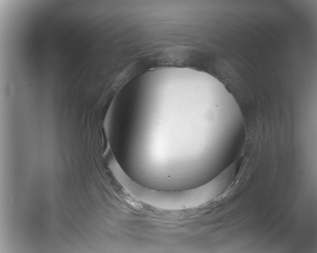 X0000059850045200511041851