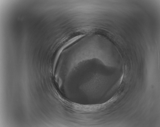 X0000059850048200511041851