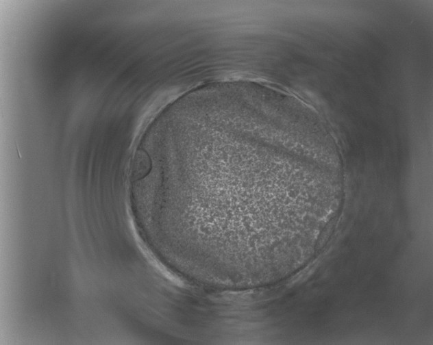 X0000059850049200511041850