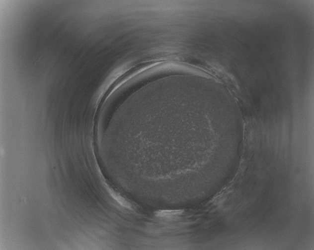 X0000059850051200511041850