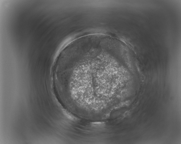 X0000059850053200511041850