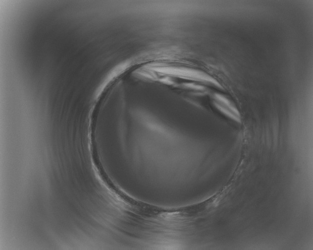 X0000059850054200511041850