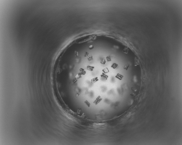 X0000059850055200511041850