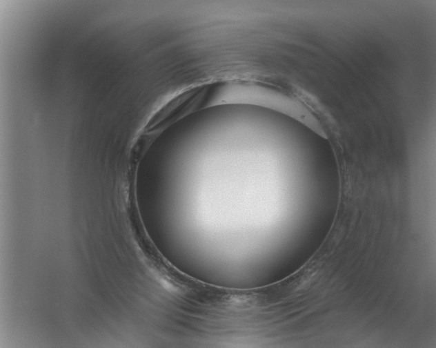 X0000059850060200511041850