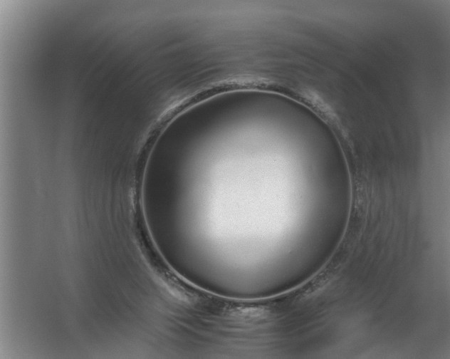 X0000059850063200511041850