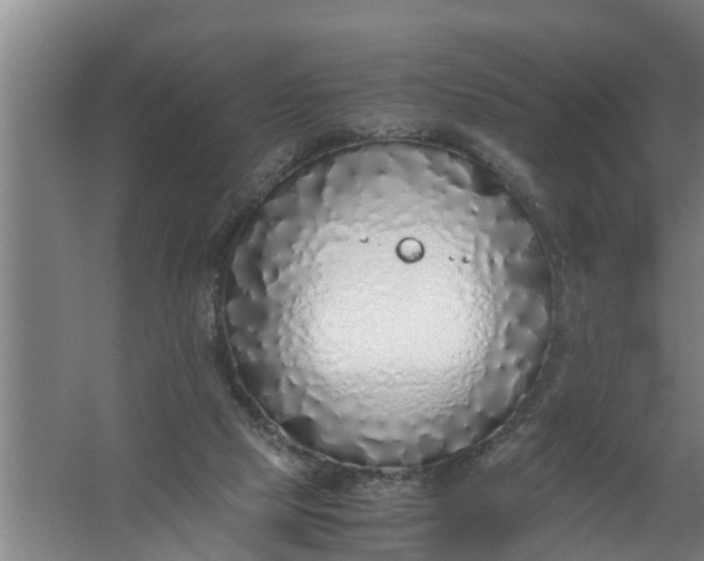 X0000059850065200511041850