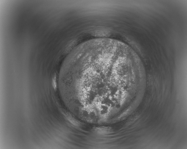 X0000059850069200511041850