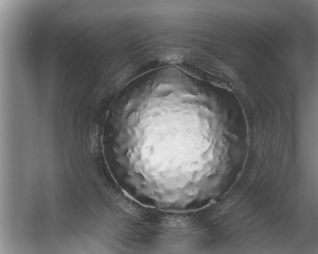 X0000059850073200511041850