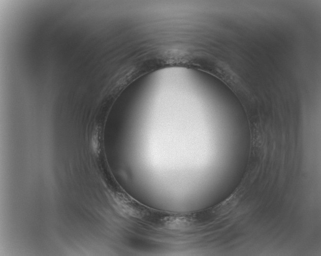 X0000059850074200511041850